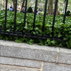 Meet your Posher, Dawn